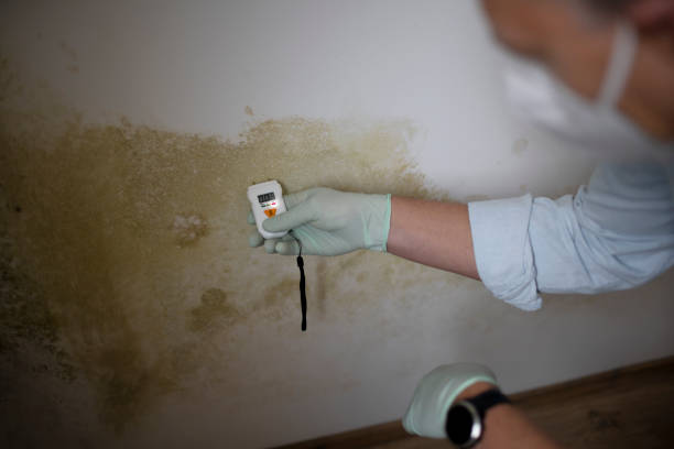 Best Water Damage Restoration  in National Park, NJ