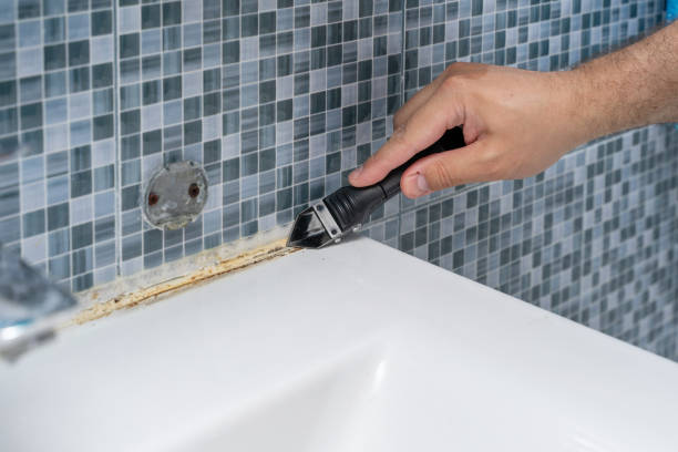 Best Emergency Mold Removal  in National Park, NJ