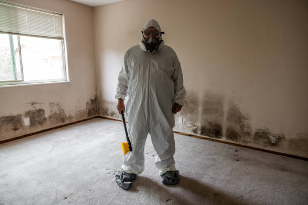 Best Crawl Space Mold Removal  in National Park, NJ